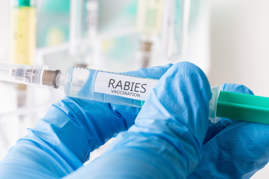 Rabies vaccine