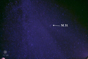 Elongated galaxy