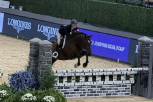 Washington international horse show