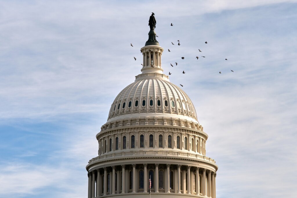 Government Shutdown