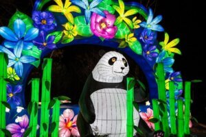 ZooLights at the National Zoo