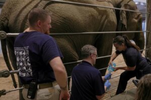 Zoo
