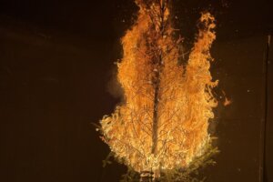 A Christmas tree lit on fire