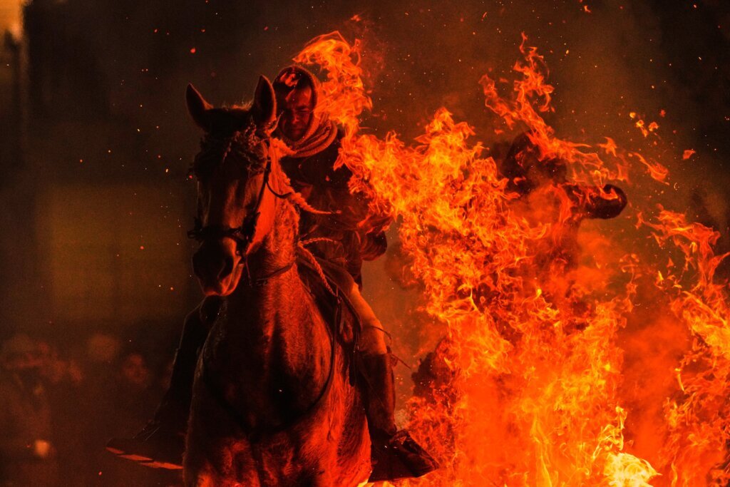 APTOPIX Spain Saint Anthony Animals