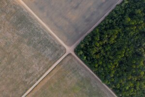 Brazil Amazon Soy Production