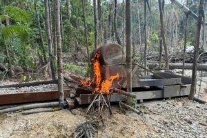 Climate Interpol Gold Mining Operation