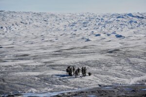 EU Greenland Security Explainer