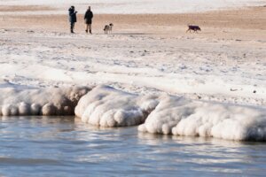 Extreme Weather Chicago