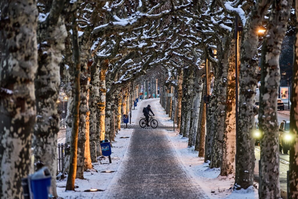Germany Weather