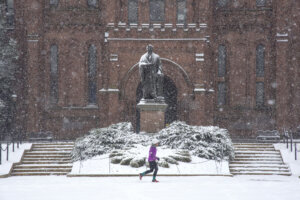 Snowy Smithsonian