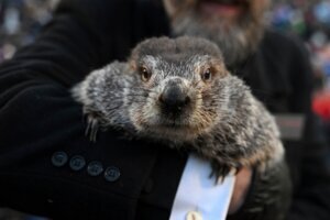 Groundhog Day