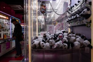 Japan China Panda