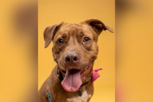 Pet of the Week: Charlie Bones