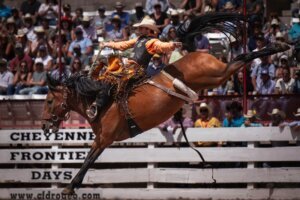 Rodeo Move