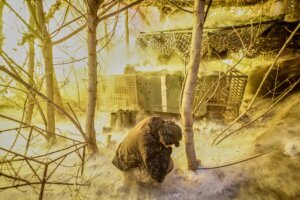 Russia Ukraine War