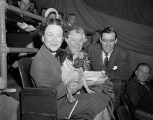 Westminster Dog Show 150th