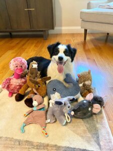 Word Learning Dogs