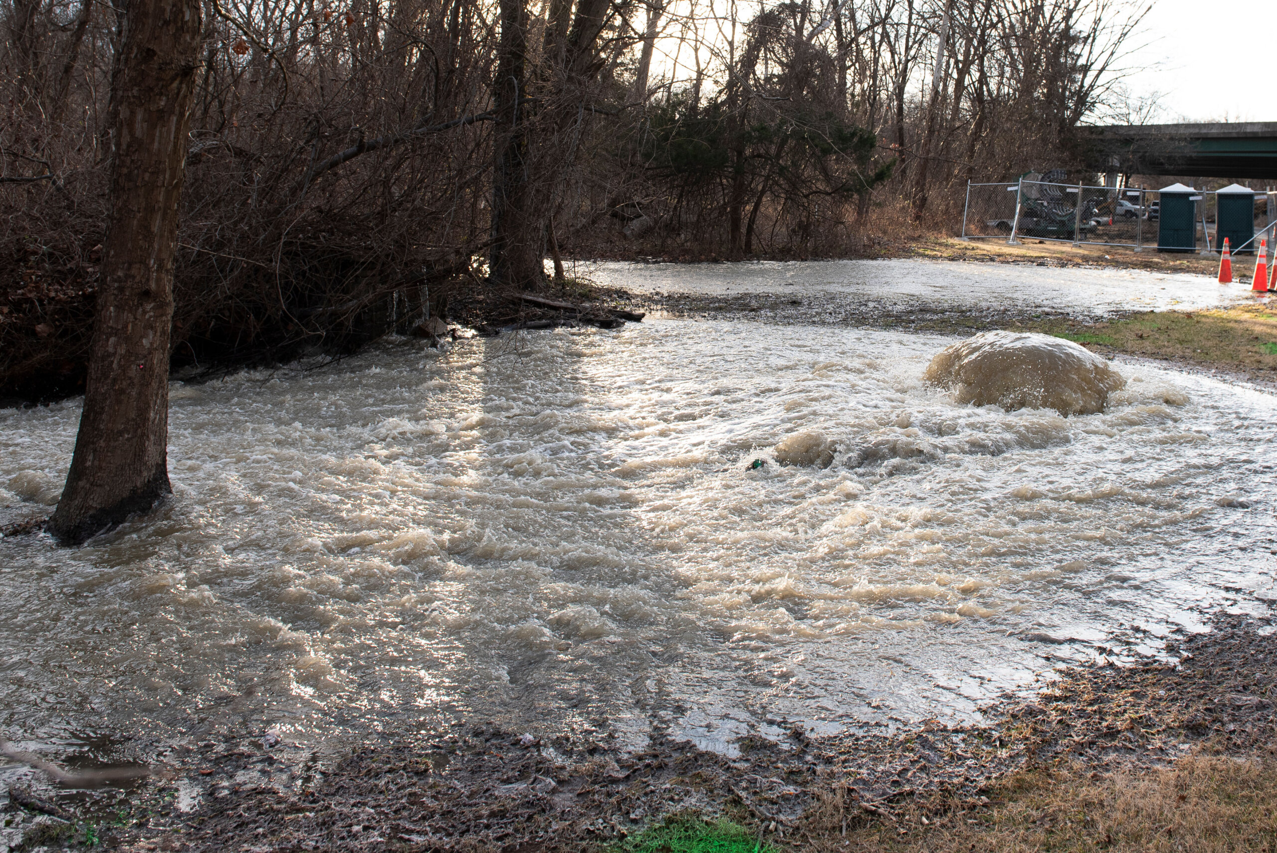 Potomac River Sewage