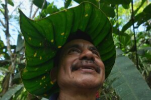 APTOPIX Ecuador Amazon Seeds