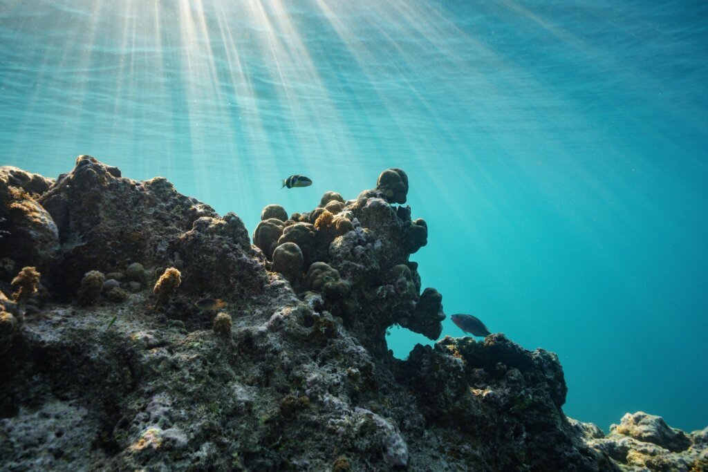 Climate High Seas Treaty What to Know