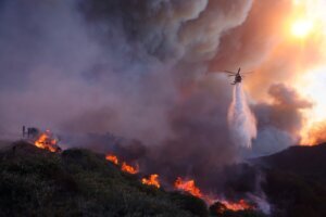 Los Angeles Wildfire