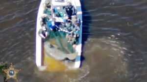 Manatee Rescue