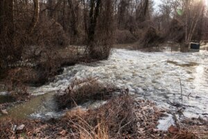 Potomac River Sewage