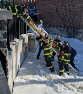 Swan Ice Rescue