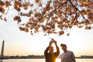 APTOPIX Washington Cherry Blossom