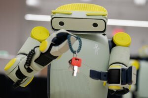 Amazon Fauna Humanoid Robot
