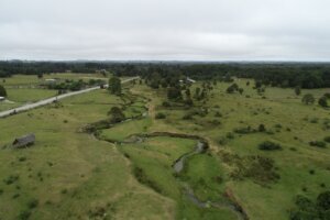 Chile Early Human Site