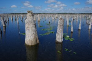APTOPIX Climate Florida Dam Removal