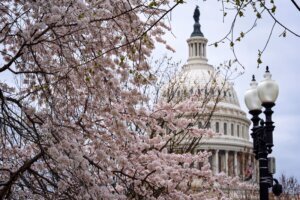 Congress