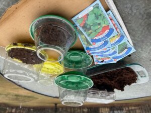 Gardening Creative Reuse