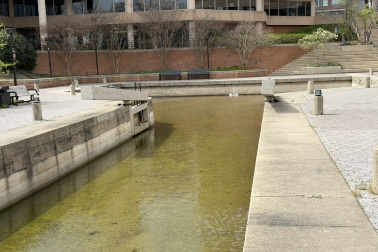 Alexandria Canal