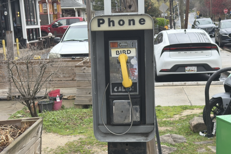 Bird pay phone takoma park