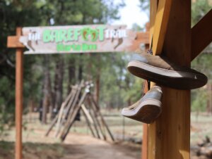 Be Well Barefoot Trails