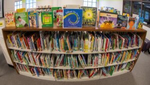 Books I Love My Librarian