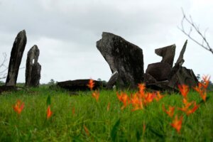 Brazil Amazon Archaeological Exploration