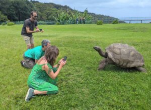 Britain World's Oldest Tortoise