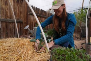 Climate Choices Watering Gardens
