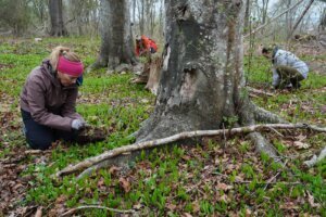 Climate Tree Equity