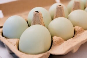 Egg Prices By the Numbers