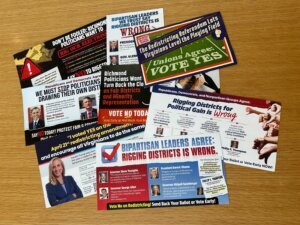 Election 2026 Decision Notes Virginia
