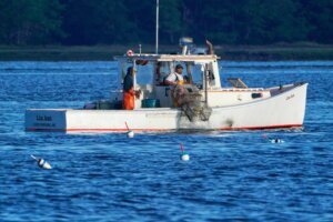 Food Sustainable Seafood