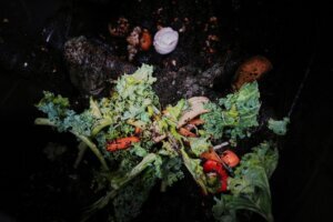 Gardening Composting