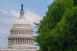 U.S. Capitol Dome