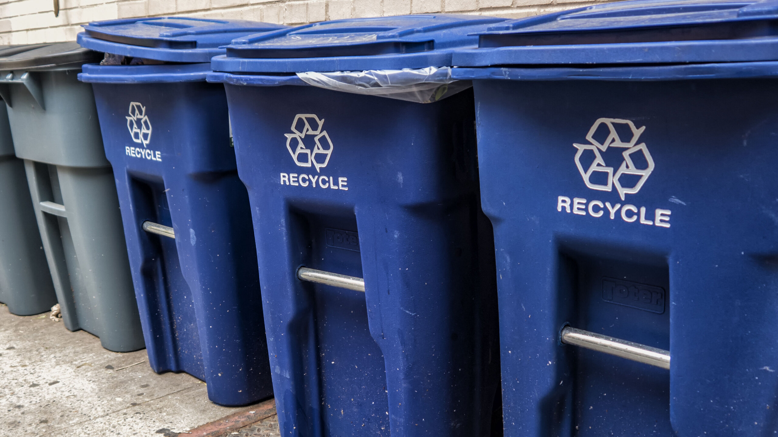 Blue garbage bins with the white recycle logo