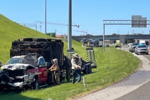 Highway Crash Bee Swarm