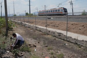 Mexico Missing People